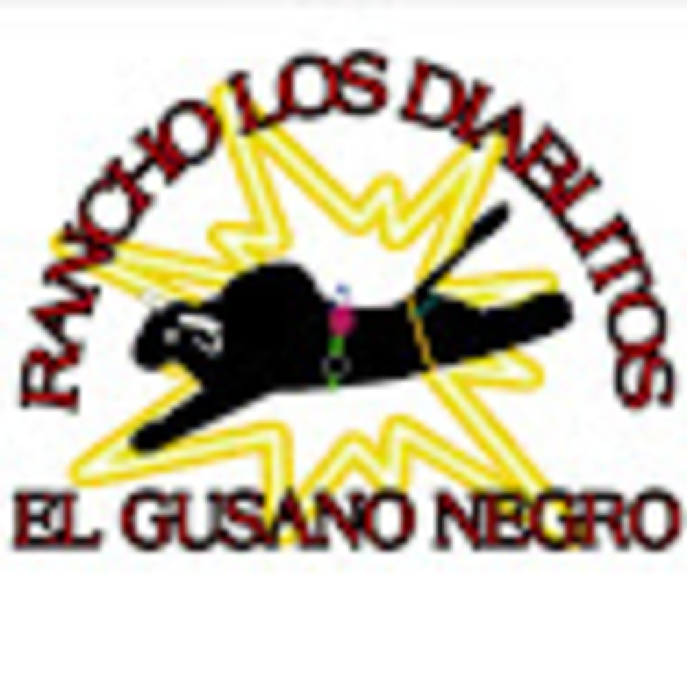 Meet your Posher, Rancho los